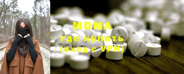 мдпв Ельня