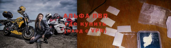 мдпв Ельня