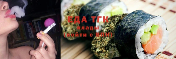 мдпв Ельня