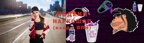 мдпв Ельня