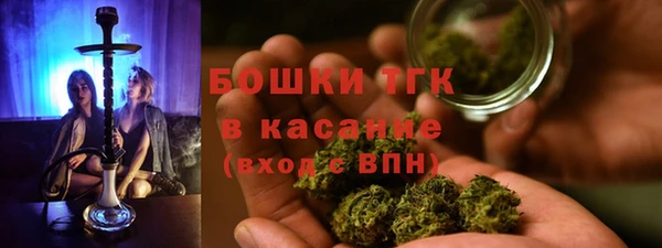 мдпв Ельня