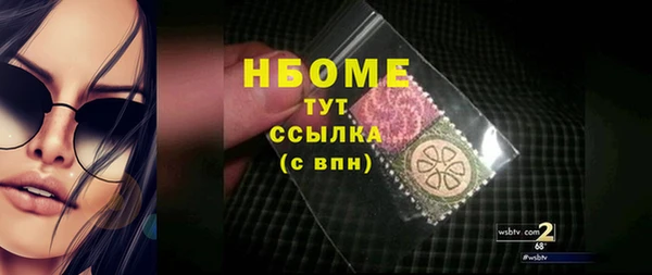 мдпв Ельня