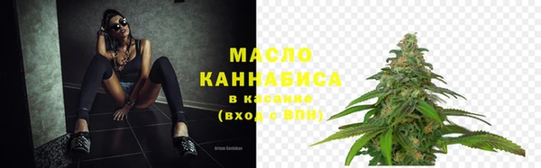 мдпв Ельня