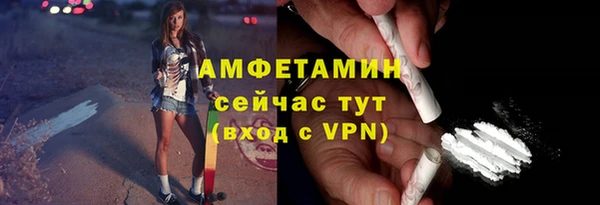 мдпв Ельня