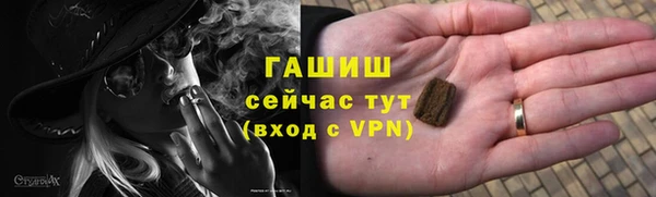 мдпв Ельня