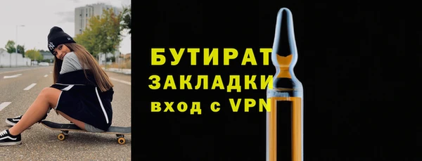 мдпв Ельня