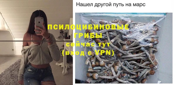 метадон Елизово