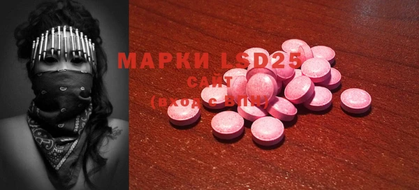 мдпв Ельня