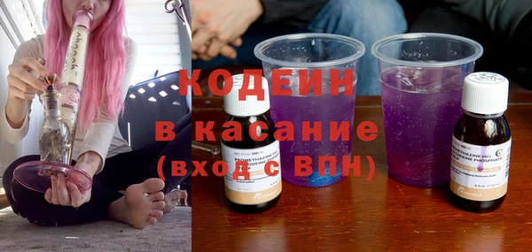 мдпв Ельня