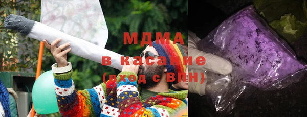 мдпв Ельня