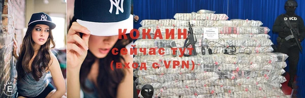 метадон Елизово