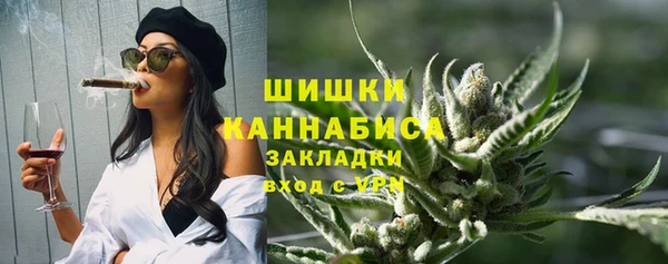 ПСИЛОЦИБИНОВЫЕ ГРИБЫ Заволжье