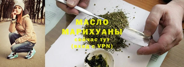 мдпв Ельня