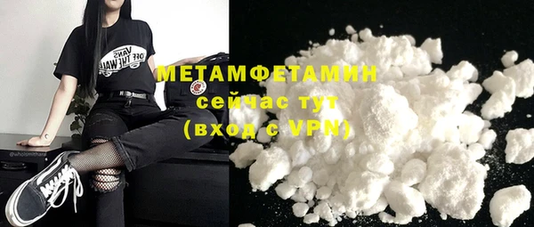 мдпв Ельня