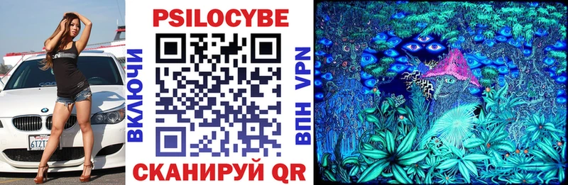 Купить закладки  Вихоревка  Галлюциногенные грибы Magic Shrooms 